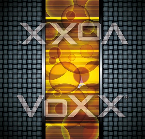 Levně Multifunkční návlek (šátek, čelenka, čepice) VoXX - vzor T černá / žlutá
